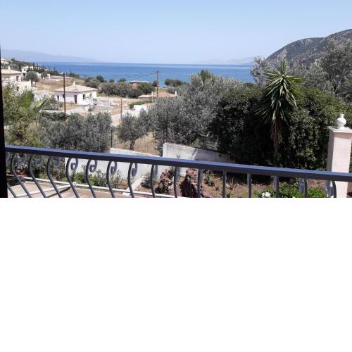 Βlueview