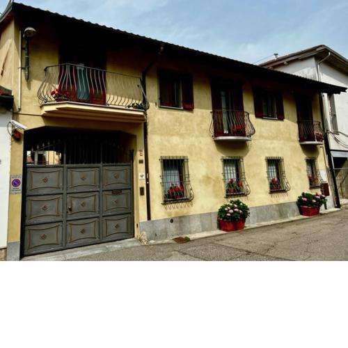 L'Ulivo Selvatico