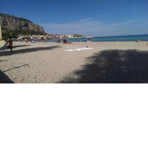 LUMINARIA BEACH TULIPANO