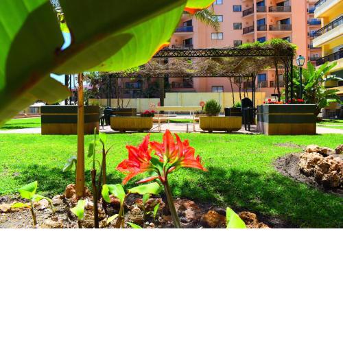 Luminoso apartamento de 3 dormitorios a pie de playa en Torremolinos