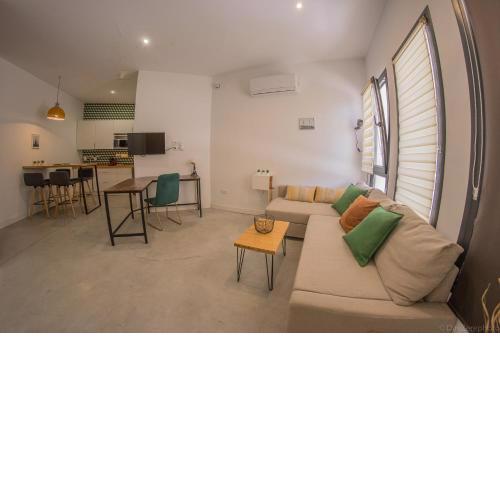Luminoso apartamento tipo Loft- Bajo 3