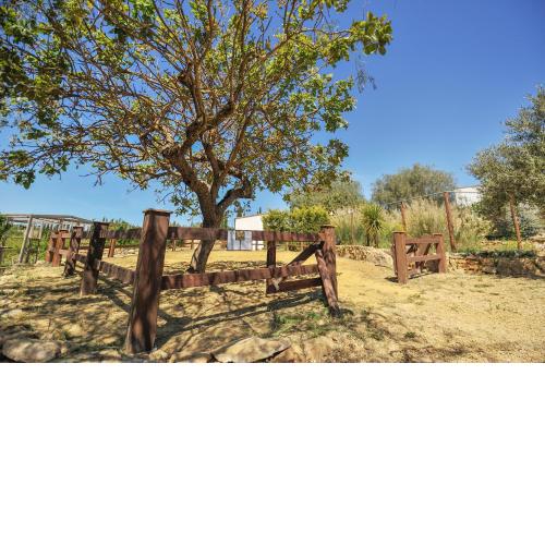 Luna - Agriturismo-La Fattoria di San Francesco