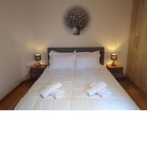 Lux & Style Apartment 75m2 in Athens