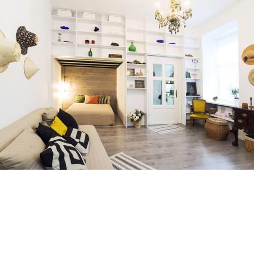 Luxory apartman in historical atmosphere