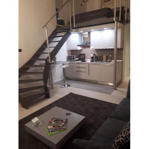 Luxory Loft