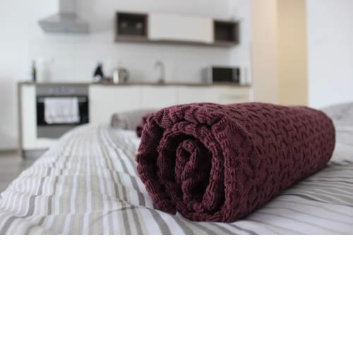 Luxurious apartment "Roma" in the centre
