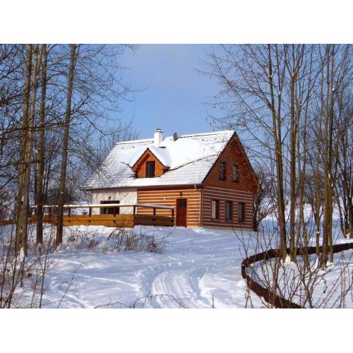 Luxurious Villa in Bo anov with Sauna