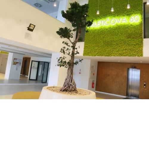 Luxury and modern apartment 3