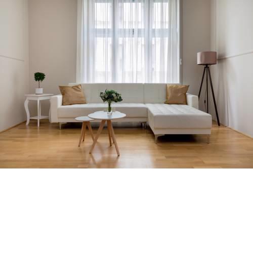 Luxury and Style Grand Apartment