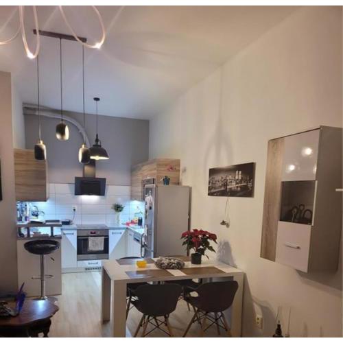Luxury apartment Brno