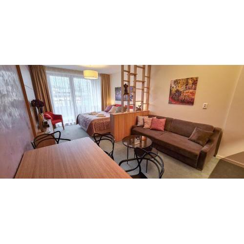 LUXURY Apartment Hrebienok D210