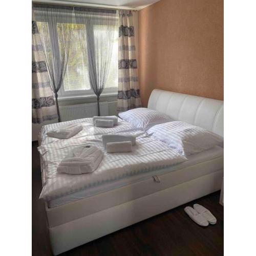 Luxury apartment in city center