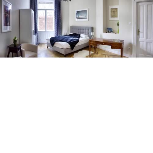 Luxury Apartment in Downtown