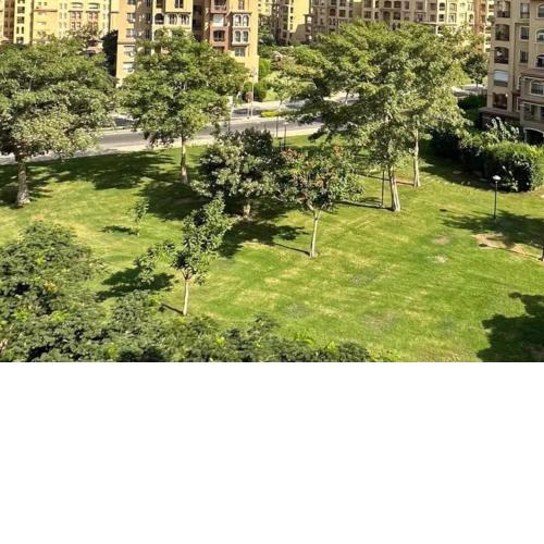 Luxury Apartment in Madinaty