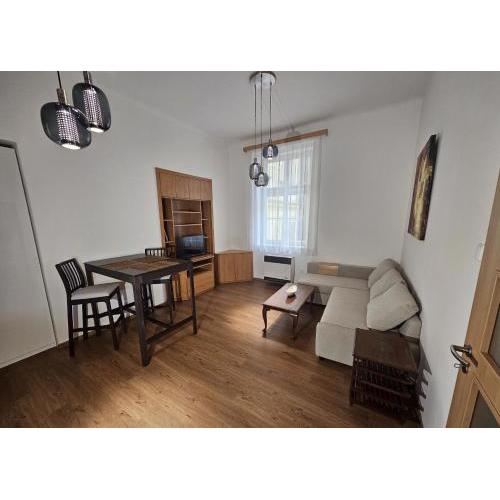 Luxury apartment in the heart of Prague