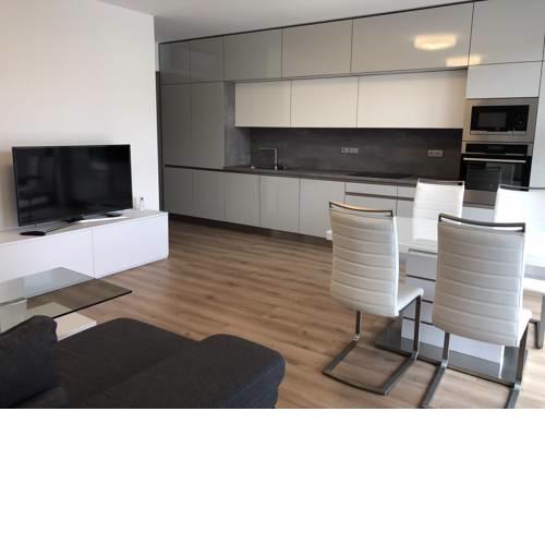 Luxury Apartment Kounická