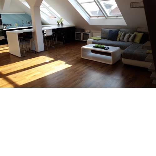 Luxury Apartment Letna