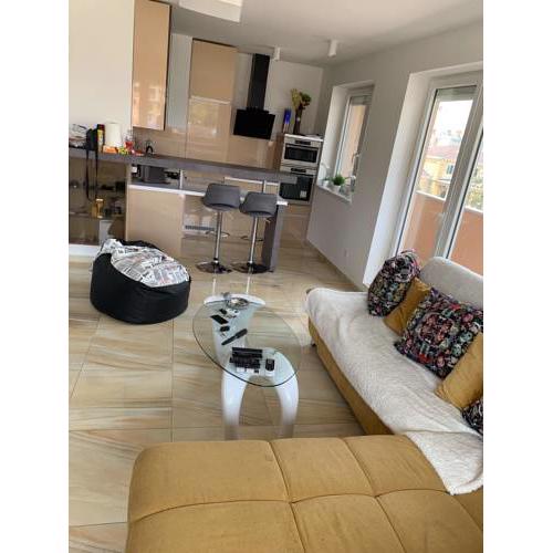 Luxury Apartment near the center