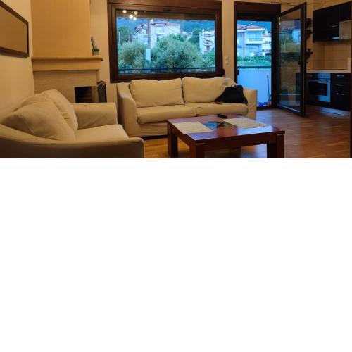 Luxury Apartment Olympus mountain view