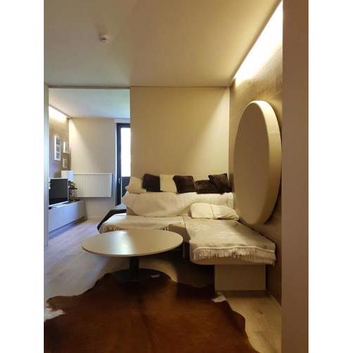 Luxury apartment Studios Rokytnice