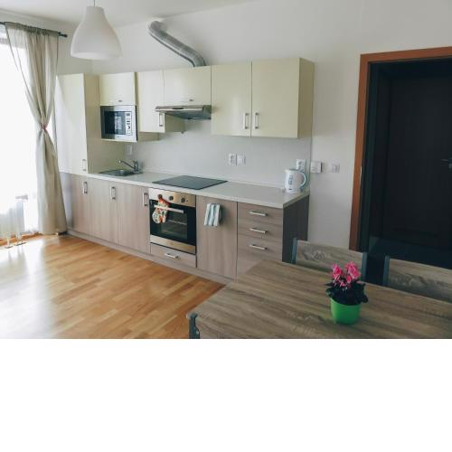 Luxury Apartment with parking Na Fialce