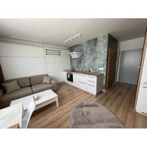 luxury apartment