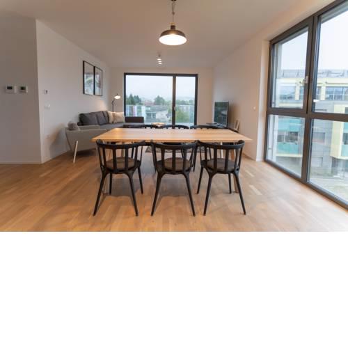 Luxury Apartments and Spa Ljubljana