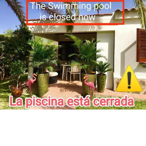 Luxury bungalow”PARADISE BIRDS”