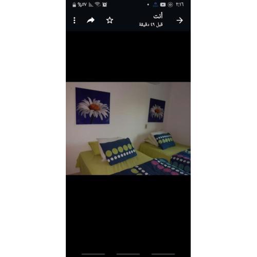 luxury châlet fully furnished at Marina wadi degla sokhna
