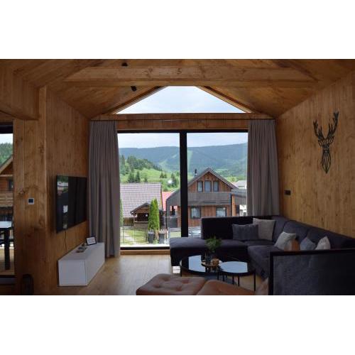 Luxury Chalet Telgart