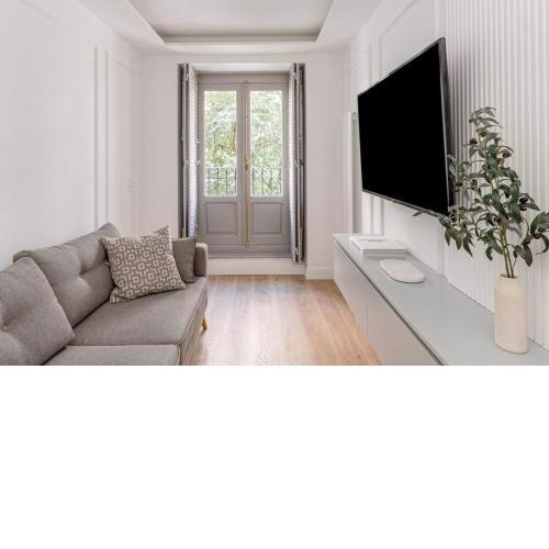 Luxury flat Mayor III