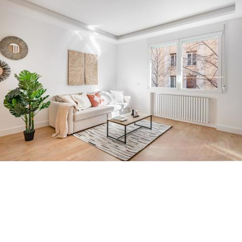 Luxury flat Salamanca II