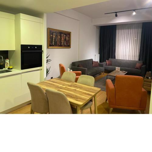 Luxury Fully Furnished Apartment