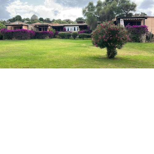 Luxury Home - KeneKita