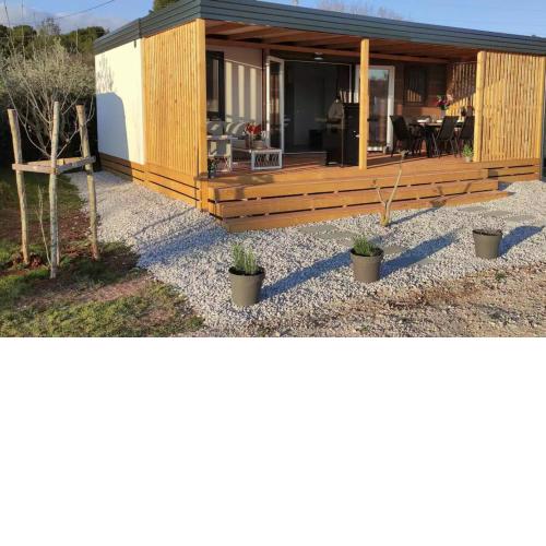 Luxury home Alpha, pool, camp Volme - nearby Kamenjak