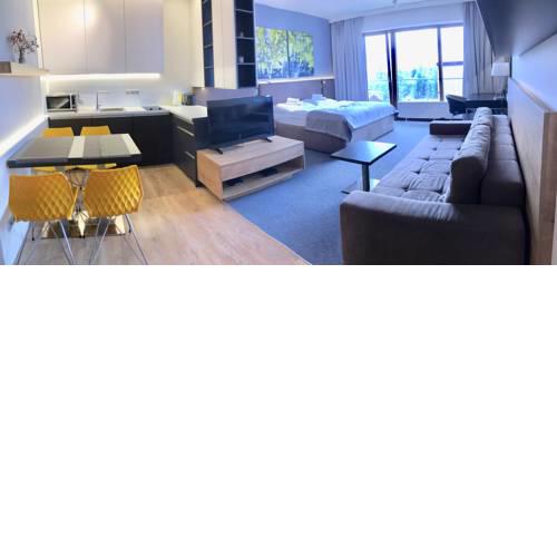 Luxury Studio A303
