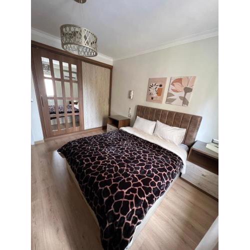 Luxury Stylish Apartment