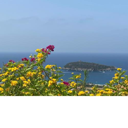 Luxury Villa Cirella happy island