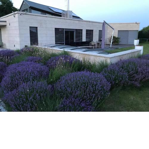 Luxury Villa Emilly - pool, sauna and jacuzzi