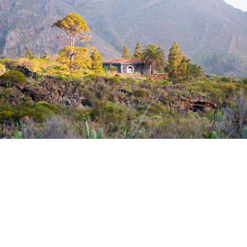 Luxury villa in Nature with Swimming pool Luxus-Finca in der Natur mit pool, Finca de lujo en la naturaleza con piscina