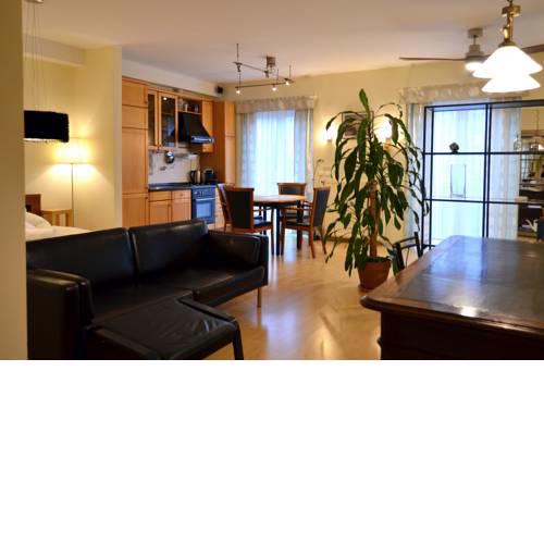 Luxury Yoga Apt next to Buda Castle