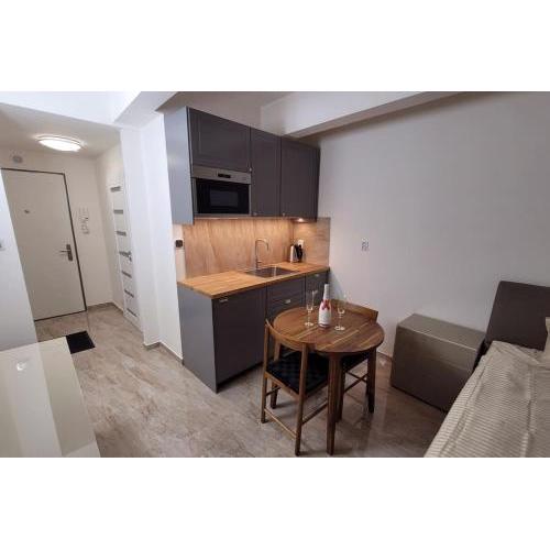 Luxusní apartmán nedaleko centra