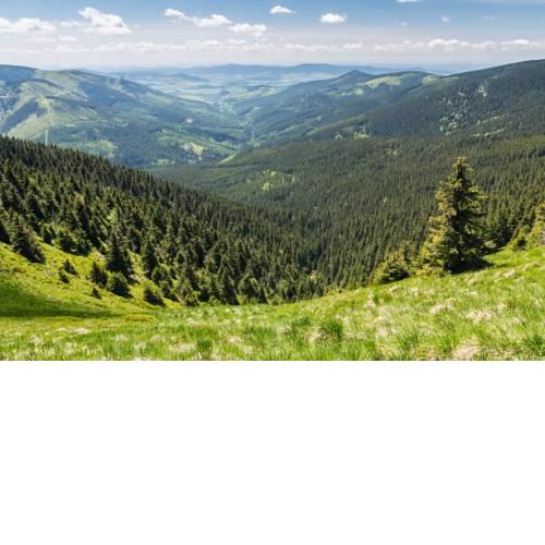 Luxusní chalupa v klidné části Rožnova pod Radhoštěm - Beskyd