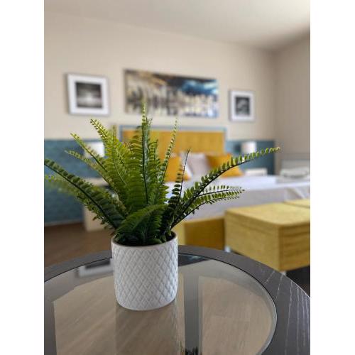 MA Giurati Suites