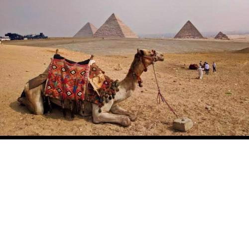 MA pyramids Hotel