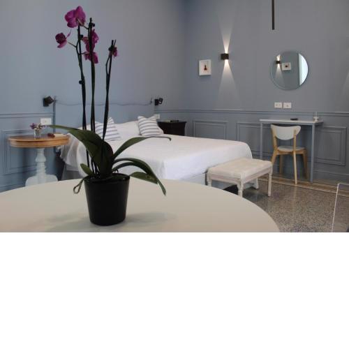 Maccus Suite