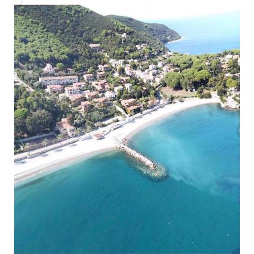 Maggiolino al mare