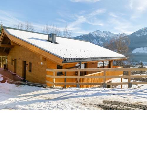 Magnificent Chalet in Niedernsill with Garden