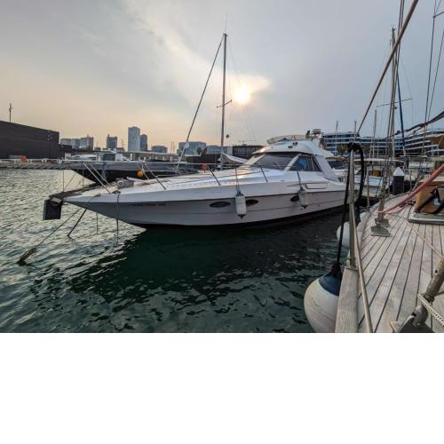 Magno II Boat