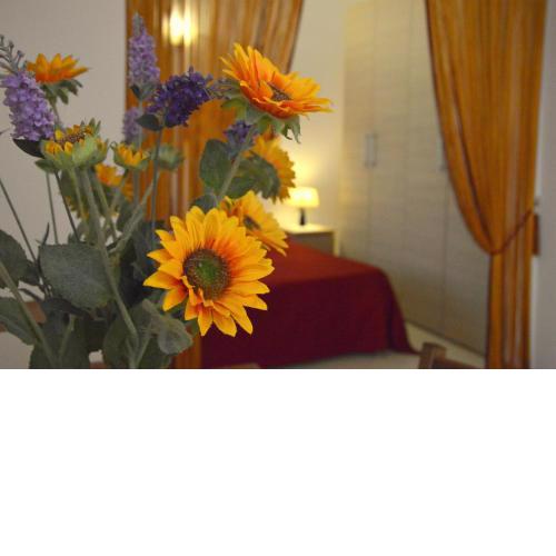 Magnolia - Large and comfortable studio flat
